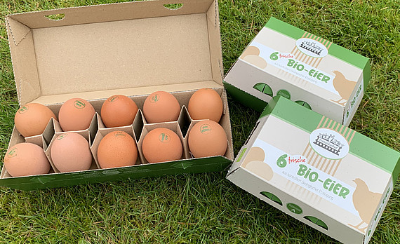 Ab sofort sind die regionalen Bio-Eier vom Franziskushof Bigge erhältlich