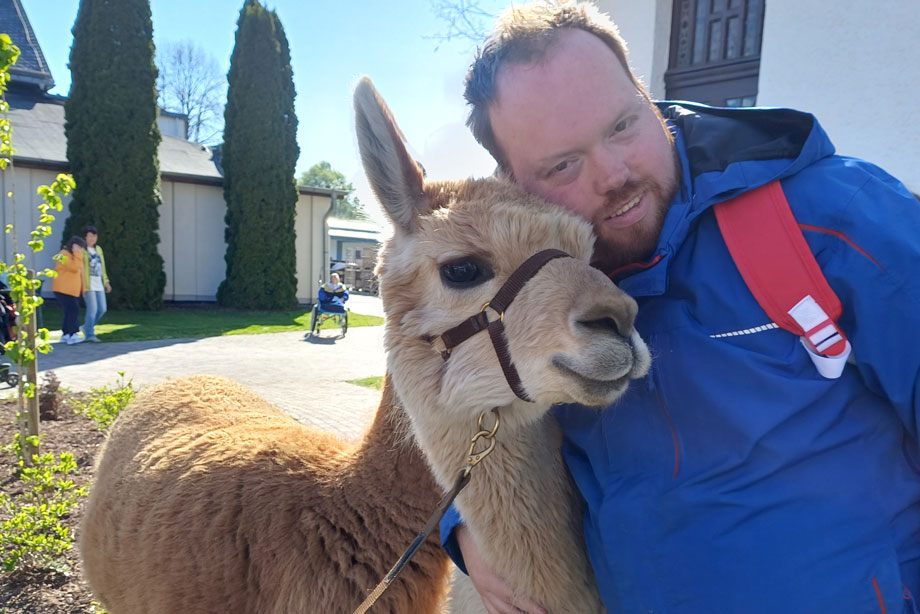 Alpaka-Besuch im Josefsheim